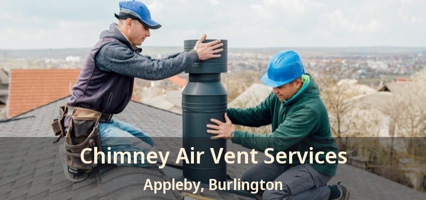 Chimney Air Vent Services Appleby, Burlington - ON