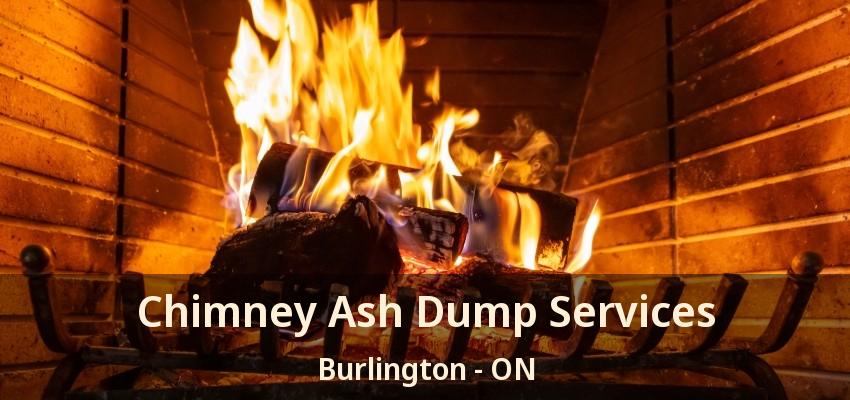 Chimney Ash Dump Services Burlington - ON