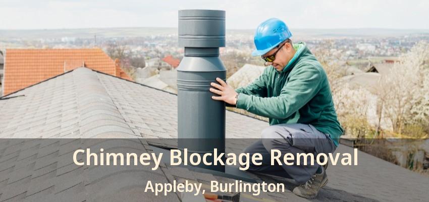 Chimney Blockage Removal Appleby, Burlington - ON