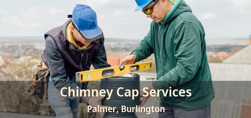 Chimney Cap Services Palmer, Burlington - ON