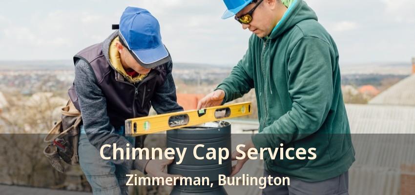 Chimney Cap Services Zimmerman, Burlington - ON