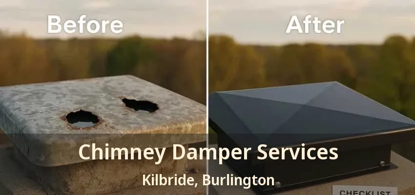 Chimney Damper Services Kilbride, Burlington - ON Chimney Damper Services Kilbride, Burlington - ON