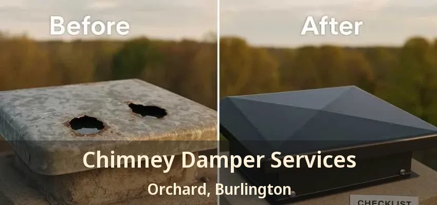 Chimney Damper Services Orchard, Burlington - ON Chimney Damper Services Orchard, Burlington - ON