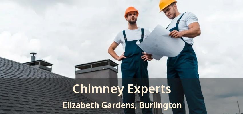 Chimney Experts Elizabeth Gardens, Burlington - ON