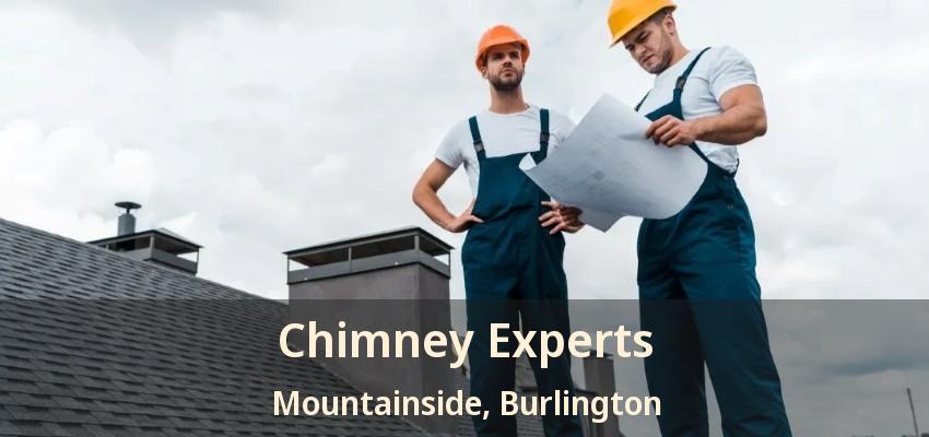 Chimney Experts Mountainside, Burlington - ON