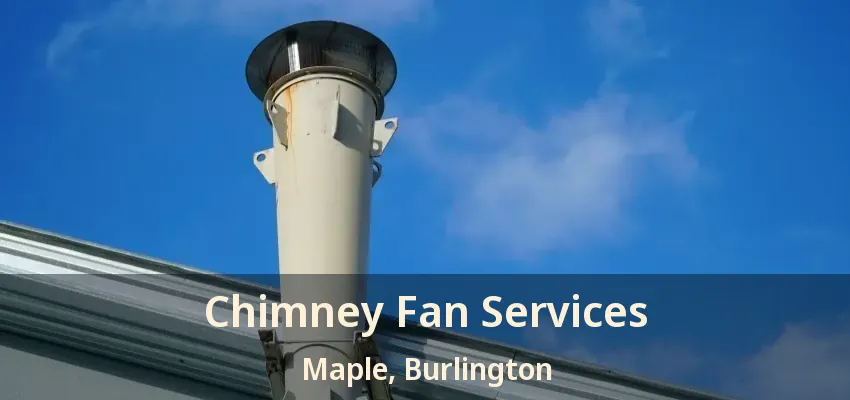 Chimney Fan Services Maple, Burlington - ON