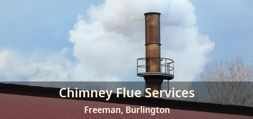Chimney Flue Services Freeman, Burlington - ON
