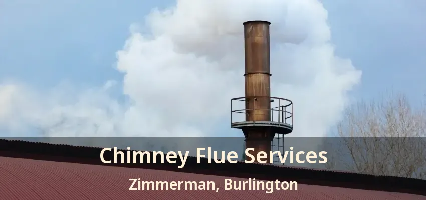 Chimney Flue Services Zimmerman, Burlington - ON
