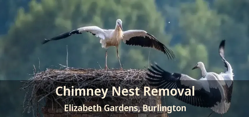 Chimney Nest Removal Elizabeth Gardens, Burlington - ON