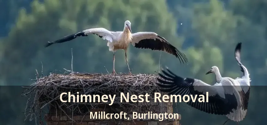 Chimney Nest Removal Millcroft, Burlington - ON