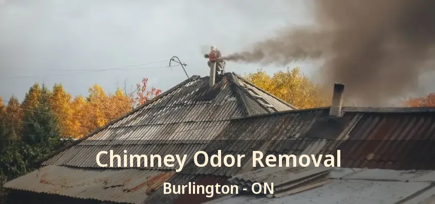 Chimney Odor Removal Burlington - ON