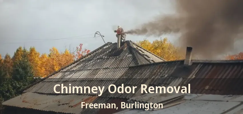 Chimney Odor Removal Freeman, Burlington - ON