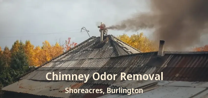 Chimney Odor Removal Shoreacres, Burlington - ON