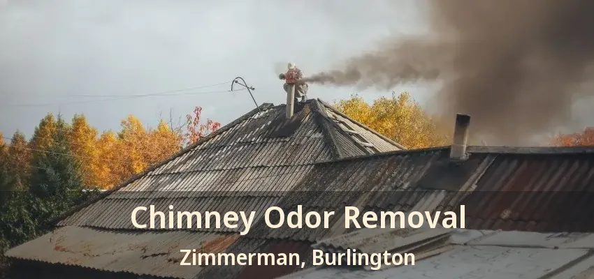 Chimney Odor Removal Zimmerman, Burlington - ON