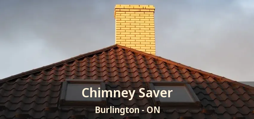 Chimney Saver Burlington - ON