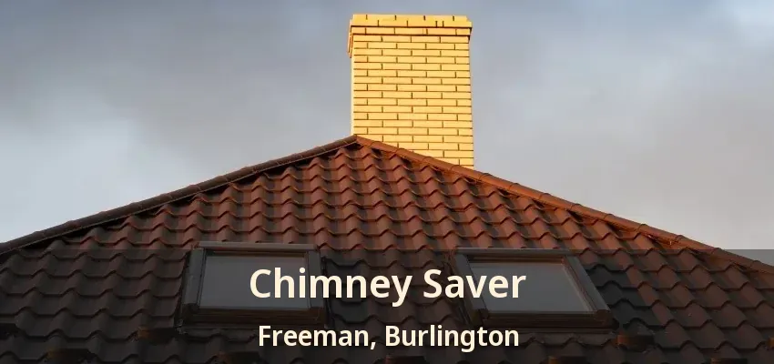 Chimney Saver Freeman, Burlington - ON