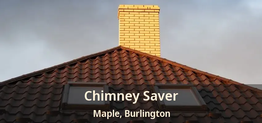 Chimney Saver Maple, Burlington - ON