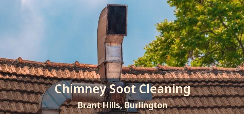 Chimney Soot Cleaning Brant Hills, Burlington - ON