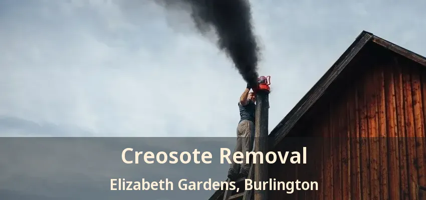 Creosote Removal Elizabeth Gardens, Burlington - ON