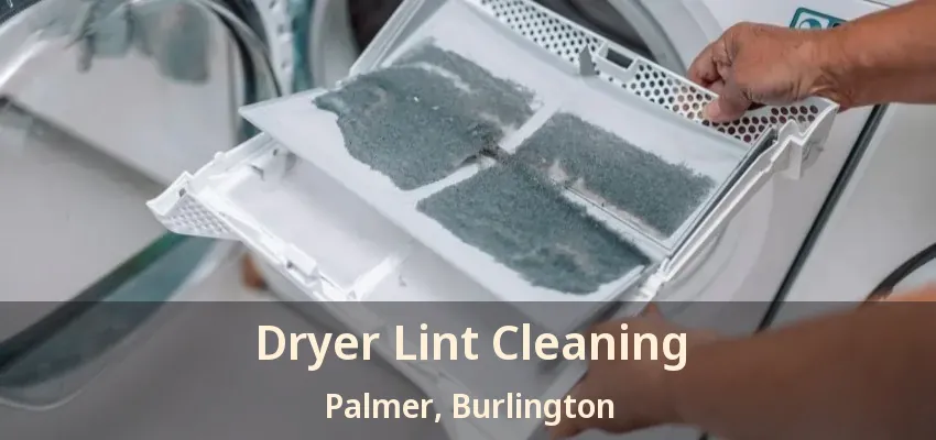 Dryer Lint Cleaning Palmer, Burlington - ON