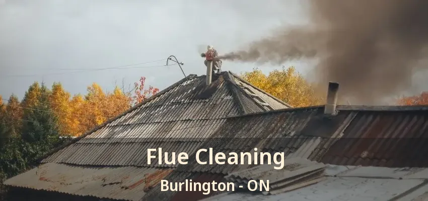 Flue Cleaning Burlington - ON