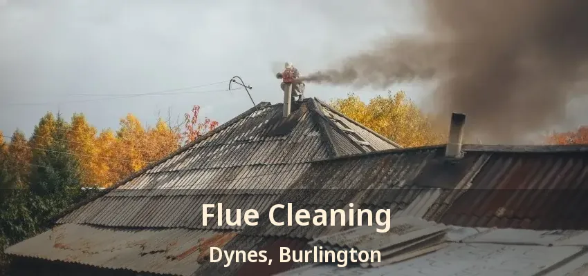 Flue Cleaning Dynes, Burlington - ON