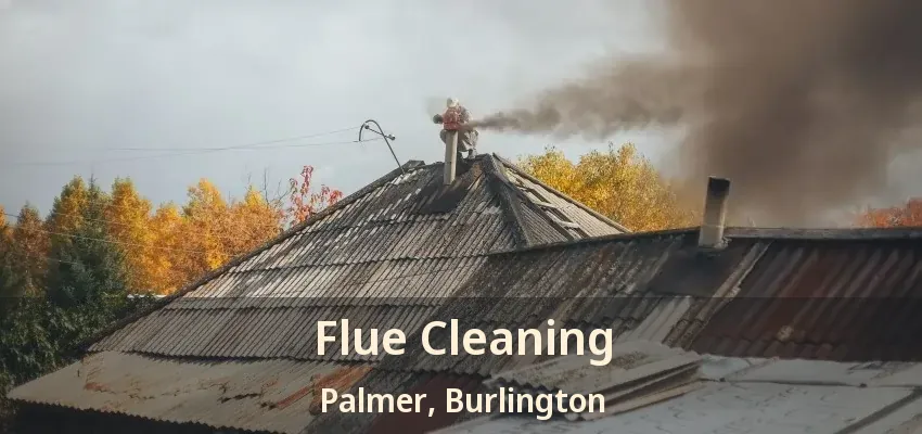Flue Cleaning Palmer, Burlington - ON