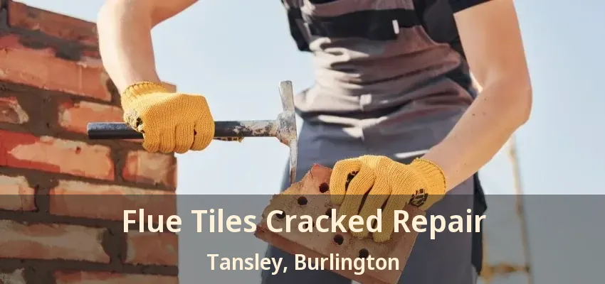 Flue Tiles Cracked Repair Tansley, Burlington - ON
