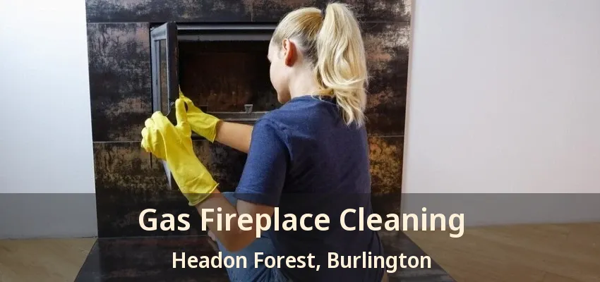 Gas Fireplace Cleaning Headon Forest, Burlington - ON