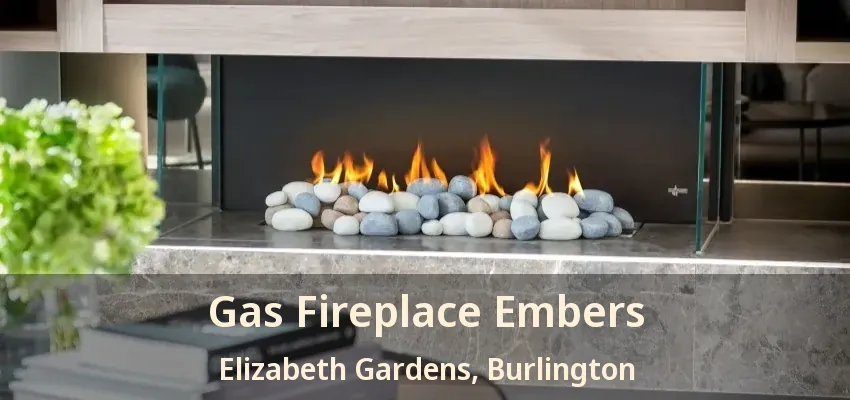 Gas Fireplace Embers Elizabeth Gardens, Burlington - ON