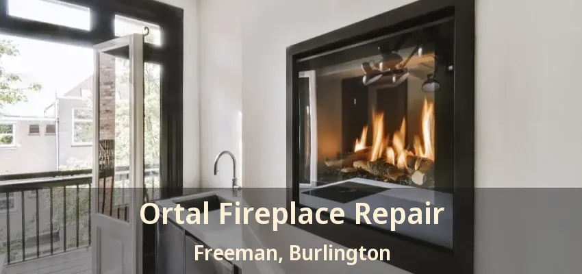 Ortal Fireplace Repair Freeman, Burlington - ON