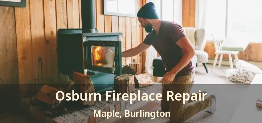Osburn Fireplace Repair Maple, Burlington - ON