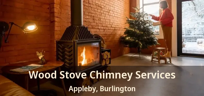 Wood Stove Chimney Services Appleby, Burlington - ON