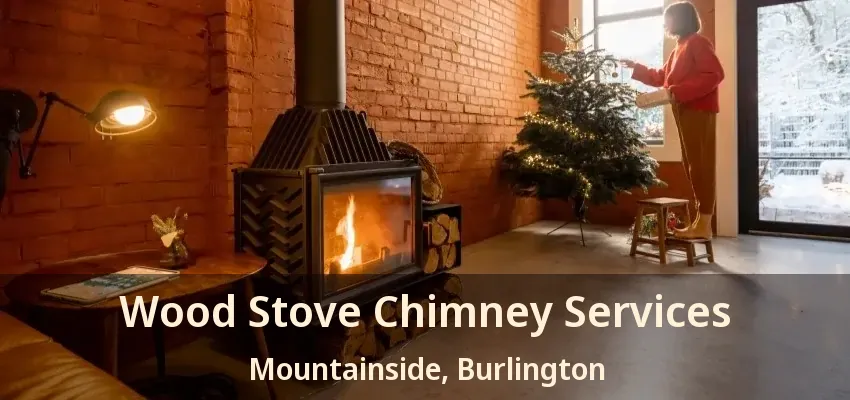 Wood Stove Chimney Services Mountainside, Burlington - ON