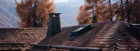 Chimney Animal Removal Palmer, Burlington