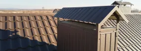 Chimney Cap Services Zimmerman, Burlington