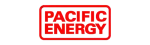Pacific Energy Regency Fireplace Repair in Burlington